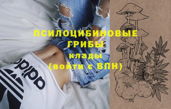 марихуана Инта