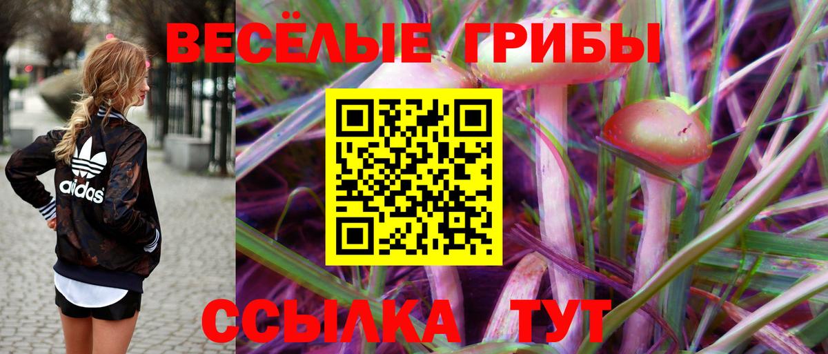 Галлюциногенные грибы Magic Shrooms Качканар