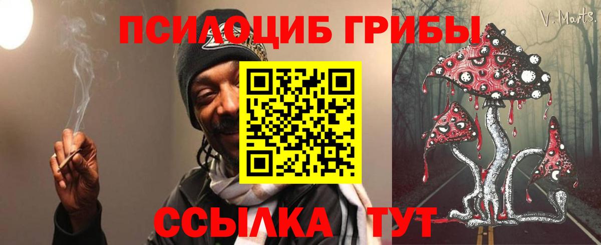 дарнет шоп  Вход с VPN  Галлюциногенные грибы ЛСД  Качканар  Галлюциногенные грибы Psilocybe 